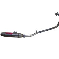 Exhaust compatible with Yamaha FZ 16 Byson 160 2010-2010, Deeptone Inox, Homologated legal full system exhaust, including removable db killer