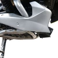 Esapament GPR compatibil cu Bmw R 1250 R -Rs 2019 Teava decatalizator,Decatalizzatore