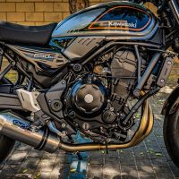 Exhaust compatible with Kawasaki Z 650 RS 2021-2023, Satinox, Homologated silencer for noise including full line,db killer and catalyst compliant for inspection