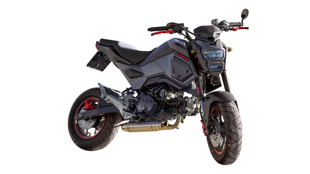 Exhaust compatible with Honda Msx - Grom 125 2013-2017, Deeptone Inox, Racing full system exhaust